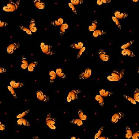 Timeless Treasures, Wild Poppy, C8477-BLK, Black