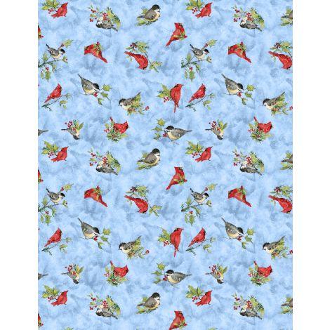 Wilmington Frosty Frolic, 3023 39857 439, Blue,