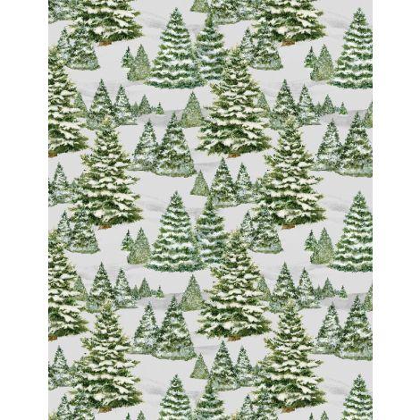 Wilmington Frosty Frolic, 3023 39858 971, Light Gray,