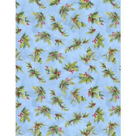 Wilmington Frosty Frolic, 3023 39859 473, Blue,