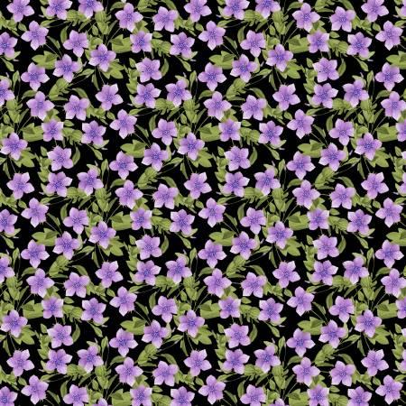 Wilmington, In Bloom, 1665-33884-967