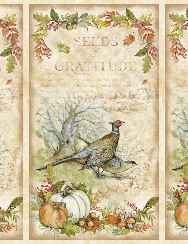 Wilmington, Susan Winget, Seeds of Gratitude, 3023-39653-278, Multi