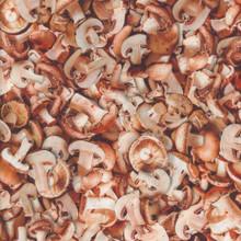 Windham Fabrics A La Carte, 54403D-1, Mushroom,