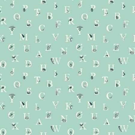Windham, Summer School, 52463-9, Birds