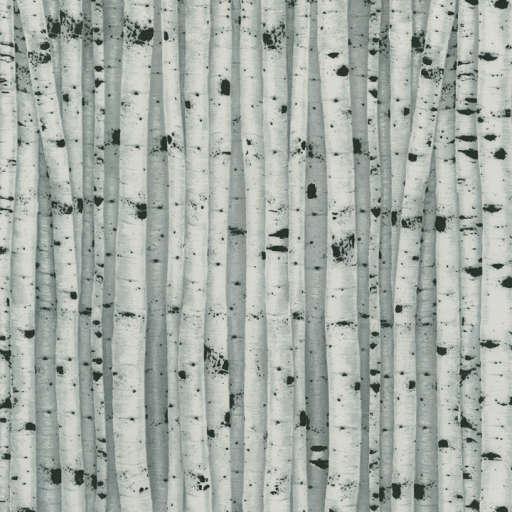 Birch Wood, NATURE-C7410-WHITE, White