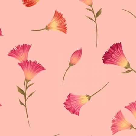 Clothworks, Canto, Y3231-38, Light Coral