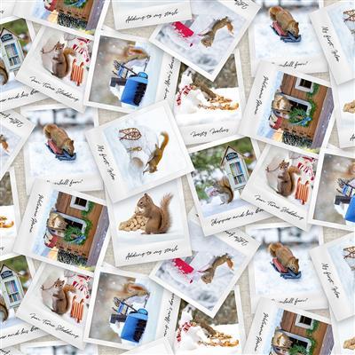 Clothworks Textiles Secret Life Of Squi, 4221-55, Multi, Nancy Rose