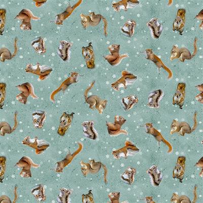 Clothworks Textiles Secret Life Of Squi, 4222-104, Teal, Nancy Rose