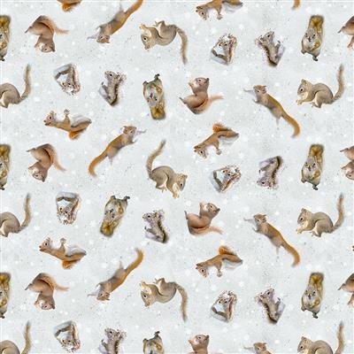 Clothworks Textiles Secret Life Of Squi, 4222-116, Mist Gray, Nancy Rose