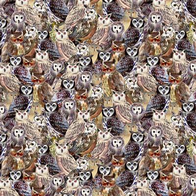 Clothworks Wild Wonders, Y4074-55, Multi, Sue Zipkin