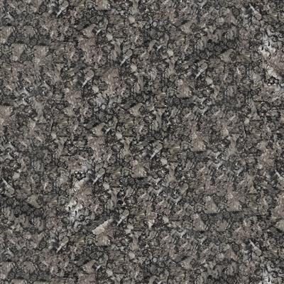 Clothworks Wild Wonders, Y4084-120, Dark Pewter, Sue Zipkin