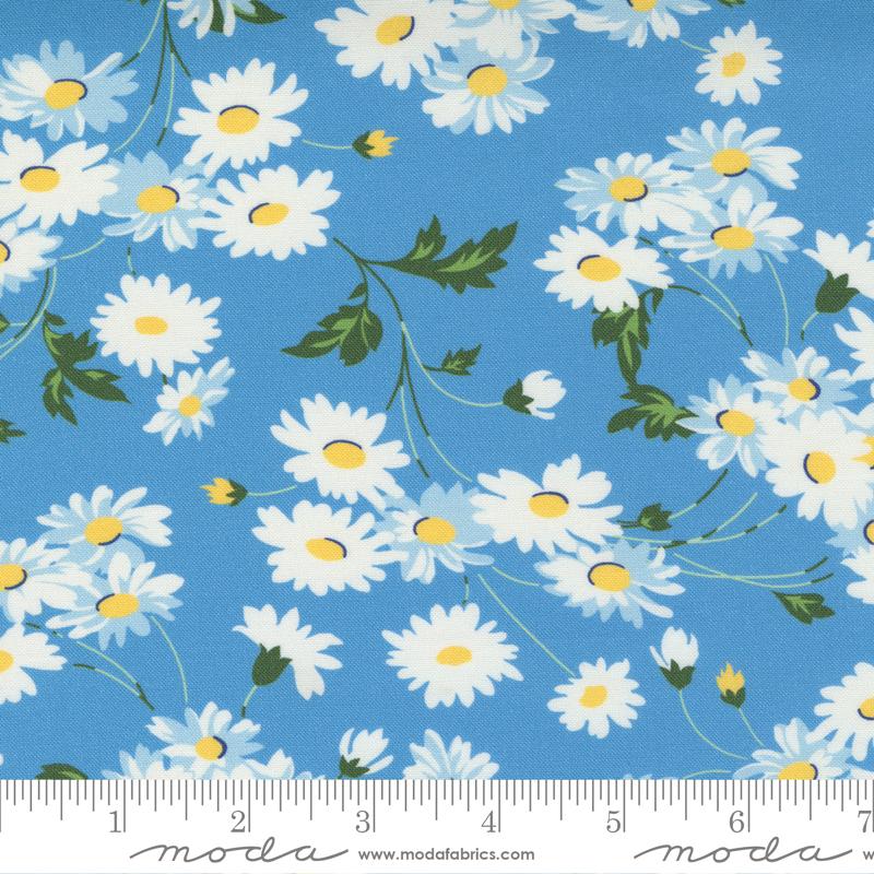 Story Time Real Daisy      Blu