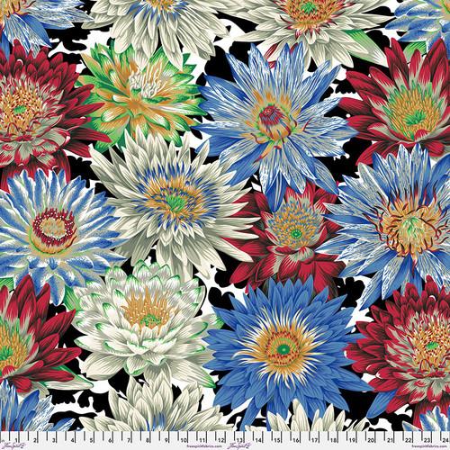 Free Spirit August 2023, PWPJ119.CONTRAST, Contrast, Kaffe Fassett Collective