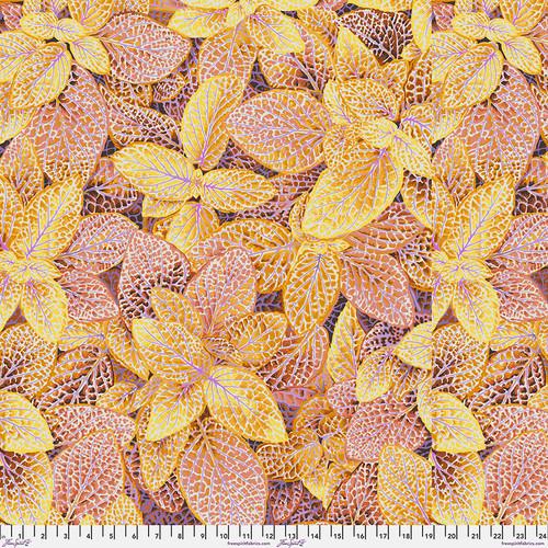 Free Spirit, Kaffe Fassett, Aug 2024, PWPJ129.GOLD, Gold