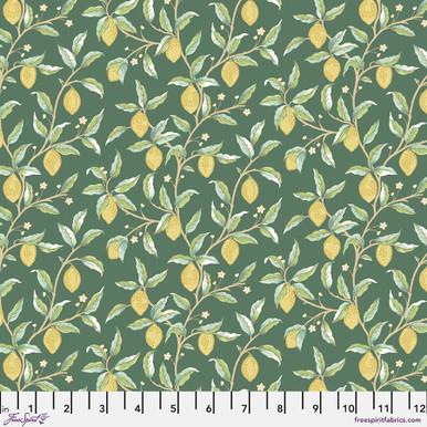 Free Spirit Leicester, PWWM047.DKGREEN, Dark Green