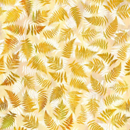 Garden Of Dreams - Ferns, 3JYL1, Golden Sunlight