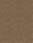 In The Beginning Dit Dot, 8AH 26 , Chocolate,
