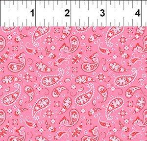 In The Beginning Go Cowgirl, 7GC-1, Pink,