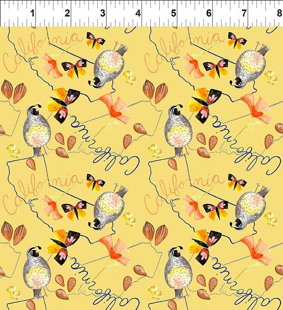 In The Beginning Natural State, 5JHU 1, Multi, Jennifer Heynen