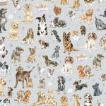 Maywood Studios Whiskers & Paws, 10415M-K, Grey,