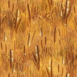 Michael Miller Final Approach, DDC12827-GOLD-D, Gold,