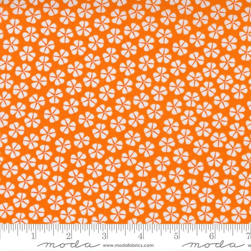 Moda, 22414 12, Over Orange