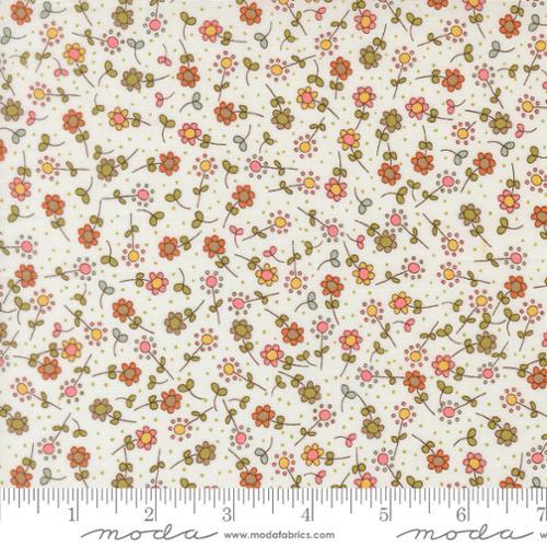 Moda Bug Collector, 55733 11, Cloud,