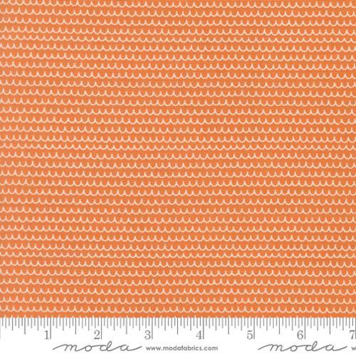 Moda Bug Collector, 55735 26, Orange,