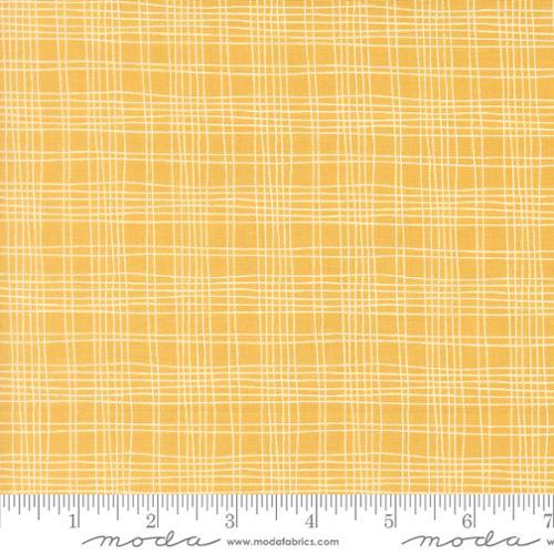 Moda Bug Collector, 55737 15, Sunshine,