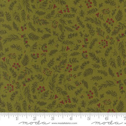 Moda, Emmitt And Ivy, 55695 13, Pine