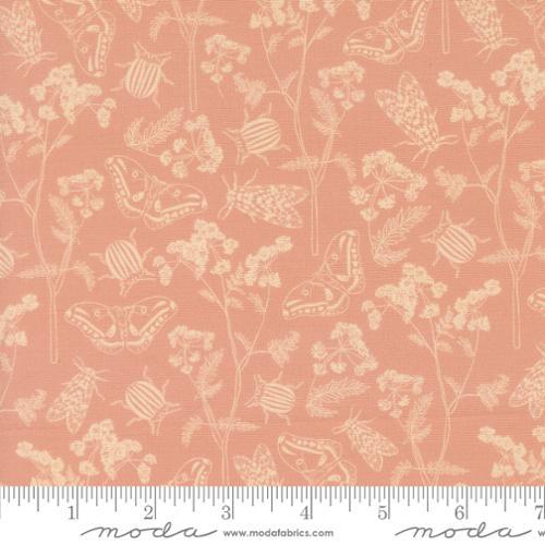 Moda Petalush , 26164 14, Velvet,