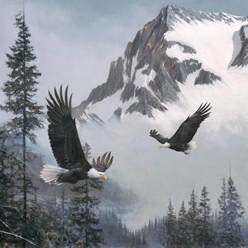 Northcott, D.R. Laird, When Eagles Soar, DP23039 94, Multi