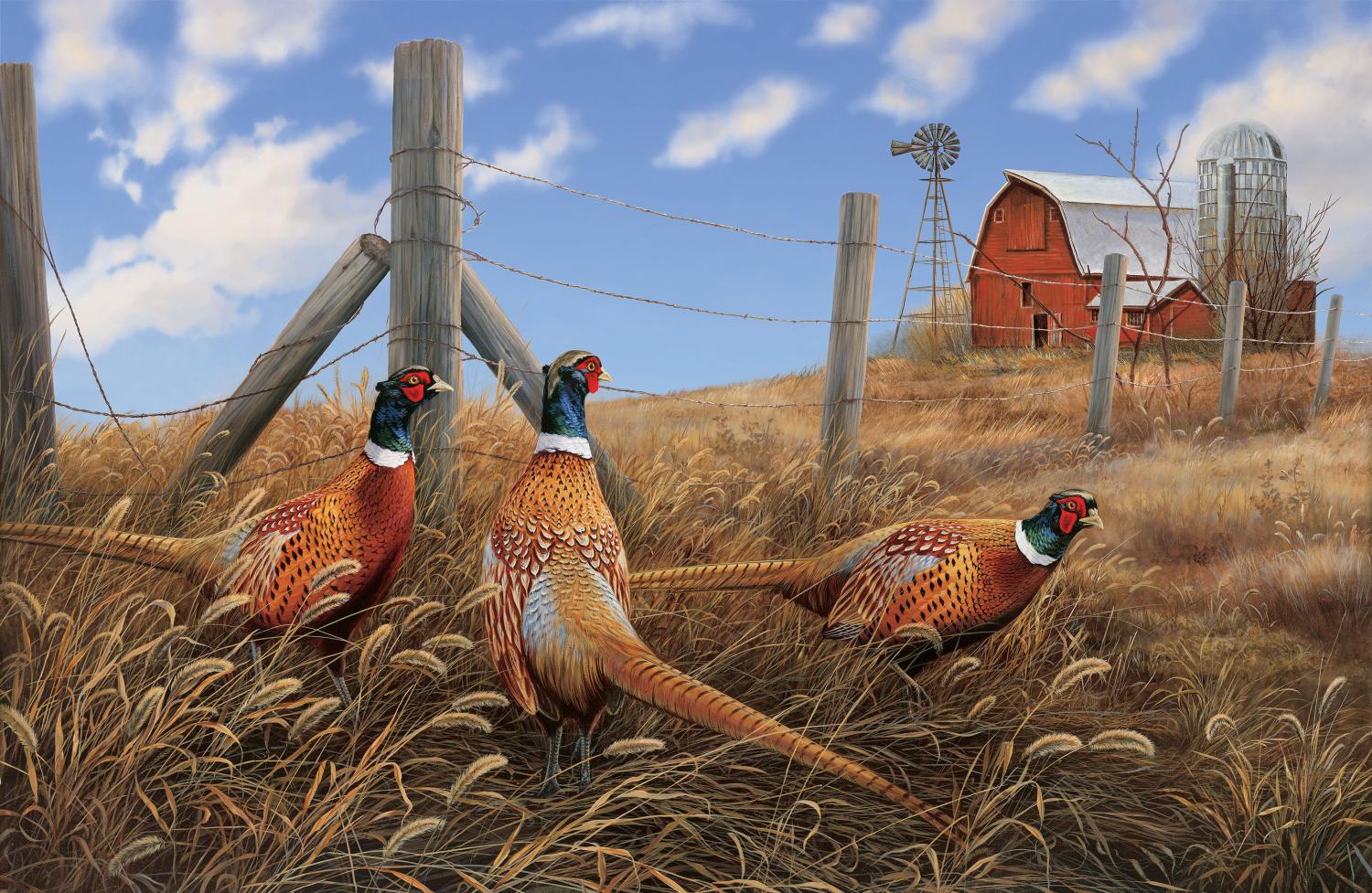 Northcott, Rosemary Millette, Pheasant Run, DP22702 14, Tan