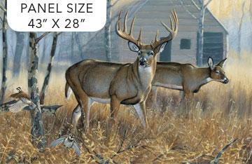 Northcott, Whitetail Woods, DP24885-43