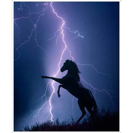 QT Fabrics, Artworks, Artworks XVII, 1649-27932-W, Midnight