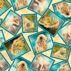 QT Fabrics, Lions's Pride, 28914-S
