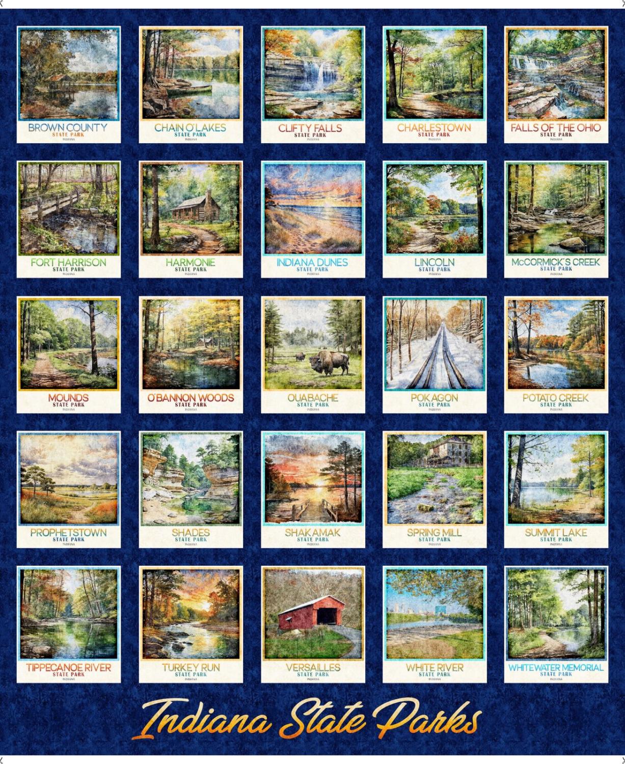 Quilting Treasures, All Indiana Shop Hop 2025, 2600-31106-N, Navy