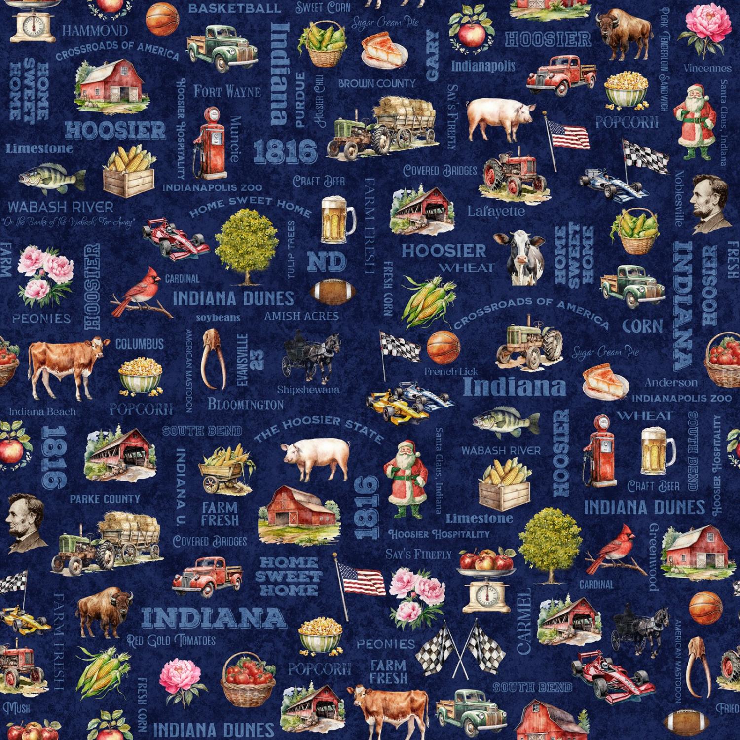 Quilting Treasures, All Indiana Shop Hop 2025, 2600-31107-N, Navy