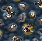 Quilting Treasures, Eagle Dreams, 29972-N, Multi