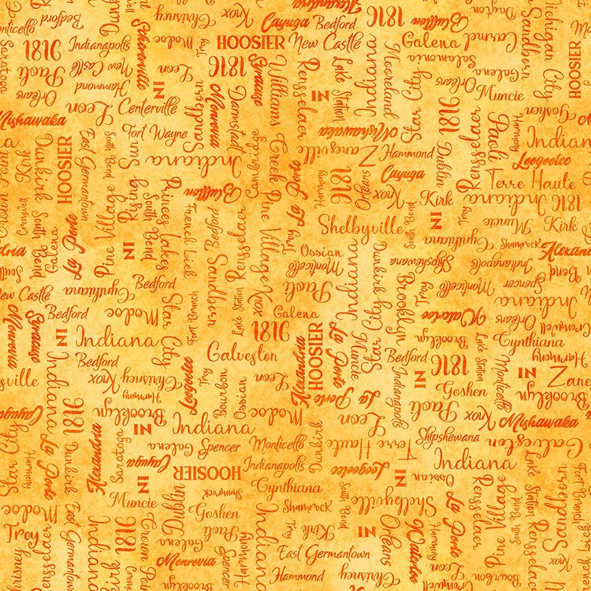 Quilting Treasures, In Shop Hop 2026, 2600-32031-O, Orange