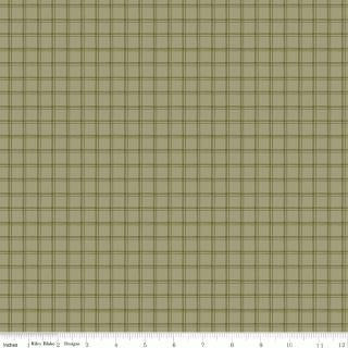 Riley Blake Designs,Worth Repeating, C18265R-WILLOW, Willow,