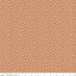 Riley Blake Designs, Worth Repeating, C18266R-FRESCO, Fresco,