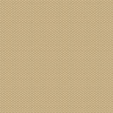 Riley Blake Designs Woven, WN18962-STRAW, Straw,