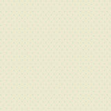 Riley Blake Designs Woven, WN18963-CREAM, Cream,