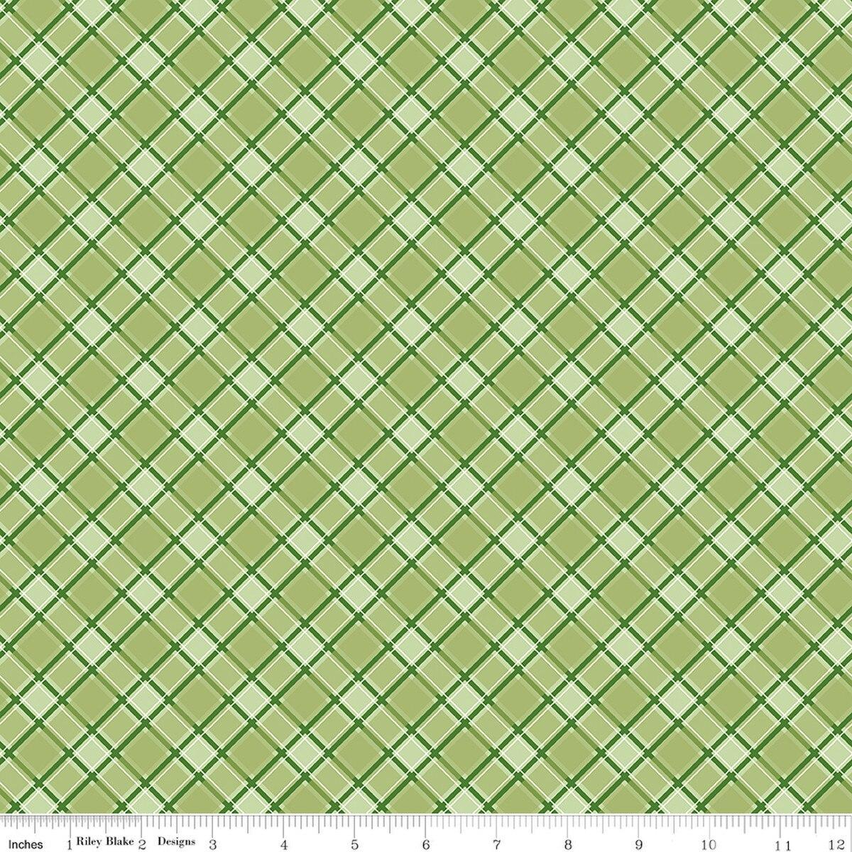 Riley Blakes Designs Front Porch, C17213-GREEN, Green,