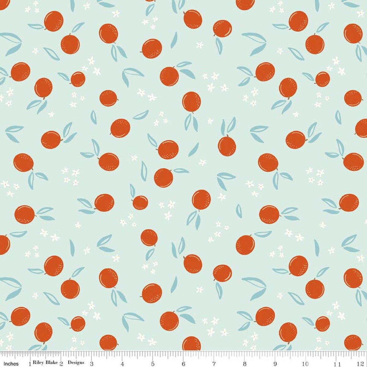 Riley Blakes Designs Homage, C17223-WASHEDDENIM, Washeddenim,