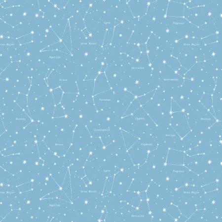 Riley Blakes Designs, Reach fot the Stars with NASA, C18334R-SKY, Sky