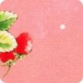 Robert Kaufman Garden Goodness, ABYD-24119-98, Dk Pink,