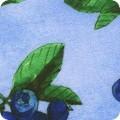 Robert Kaufman Garden Goodness, ABYD-24124-77, Blue,