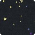 Robert Kaufman Holy Night , AHPDM-22462-69, Midnight,